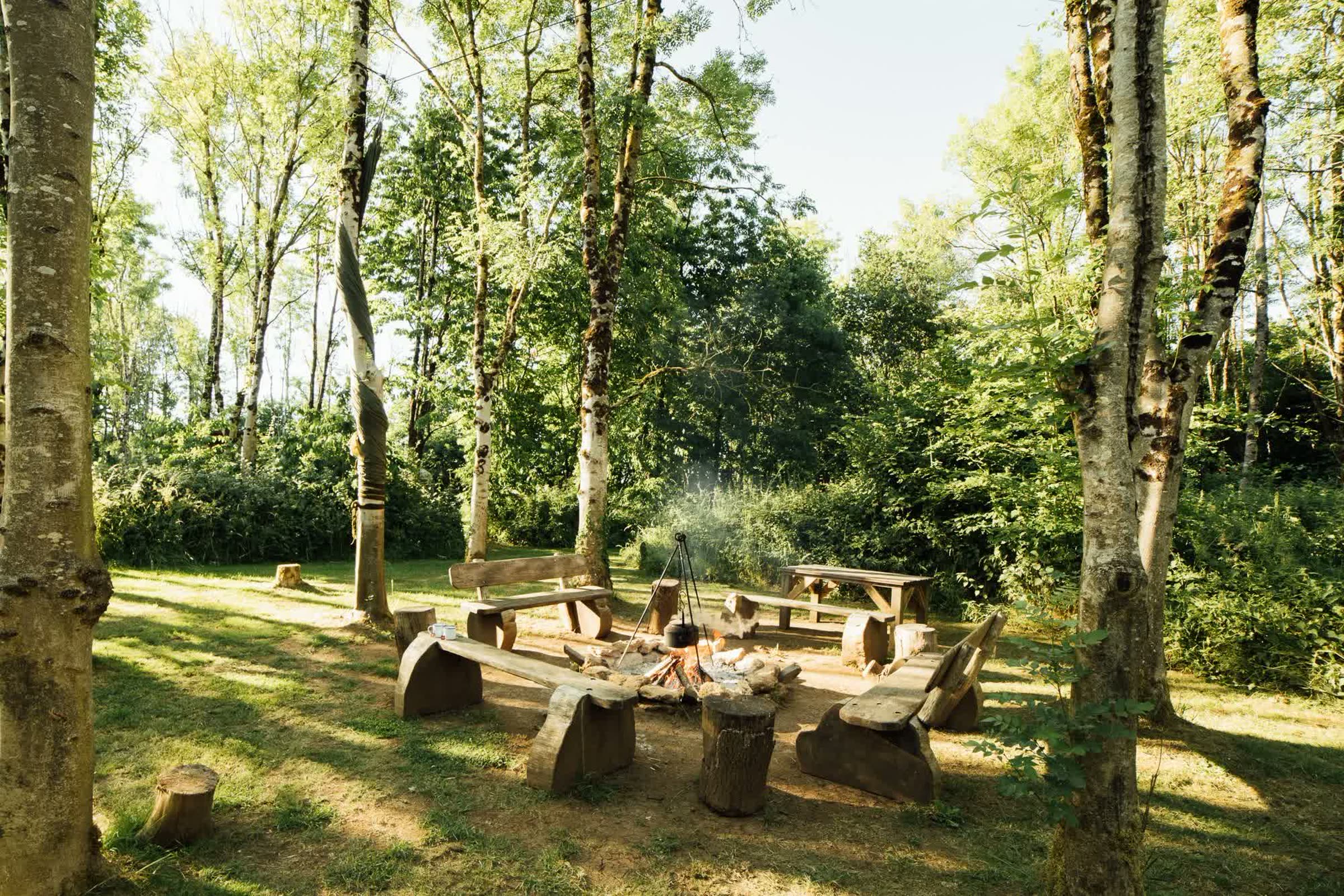 The fire circle in the woods near Frome