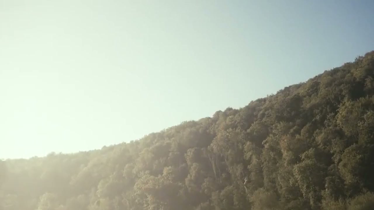 Early morning mist over a wooded hillside, the opening of the Journeyman film